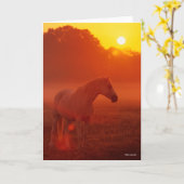 Carte Bob Langrish | Gray Arab Standing au coucher du so (Fleur jaune)