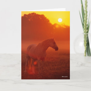 Carte Bob Langrish Gray Arab Standing au coucher du so