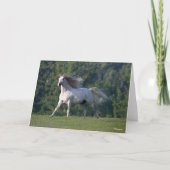 Carte Bob Langrish | Gray Lusitano Stallion en marche (Devant)