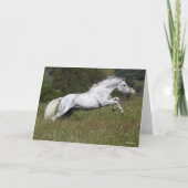 Carte Bob Langrish Grey Andalou saute à travers l'herbe (Devant)