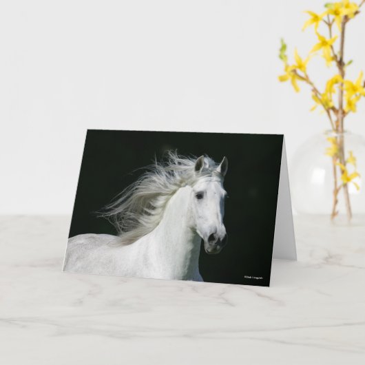 Carte Bob Langrish | Grey Andalucian Stallion Headshot (Fleur jaune)