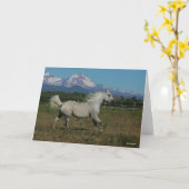 Carte Bob Langrish Grey Arrière - plan arabe de la monta (Fleur jaune)