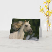 Carte Bob Langrish Grey Casque andalou Mane Flow (Fleur jaune)