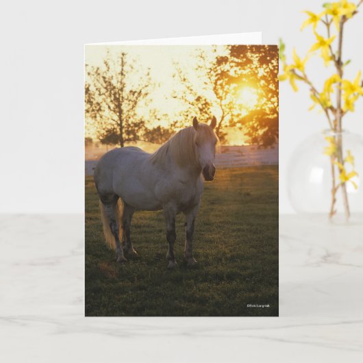 Carte Bob Langrish | Grey Percheron Standing In Sunset (Fleur jaune)
