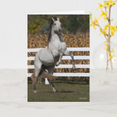 Carte Bob Langrish | Gris Andalousie de l'élévation (Fleur jaune)