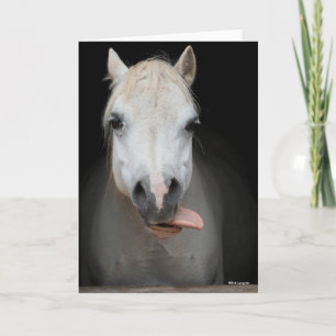 Carte Bob Langrish   Gris Gallois Pony Avec La Langue So