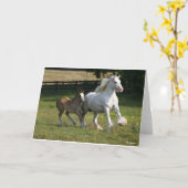 Carte Bob Langrish | Gypsy Vanner Horse Mare & Foie (Fleur jaune)