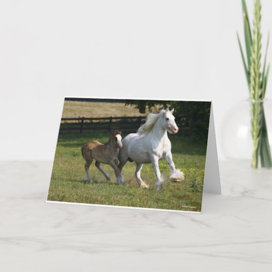 Carte Bob Langrish | Gypsy Vanner Horse Mare & Foie (Devant)