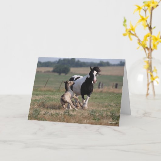 Carte Bob Langrish | Gypsy Vanner Mare et Foie (Fleur jaune)