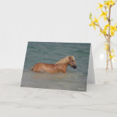 Carte Bob Langrish | Haflinger Horse Nager En Mer (Fleur jaune)