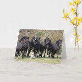 Carte Bob Langrish | Herd Black Meren Cheval et Chien (Fleur jaune)