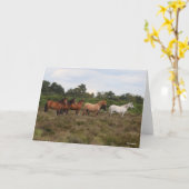 Carte Bob Langrish | Herd New Forest Poney debout (Fleur jaune)
