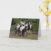 Carte Bob Langrish | Herd Vannières Tsiganes en marche (Fleur jaune)