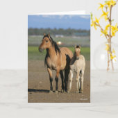 Carte Bob Langrish Kiger Mustang Mare et poulain debout (Fleur jaune)