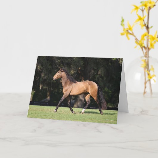 Carte Bob Langrish | Light Bay Lusitano Running (Fleur jaune)
