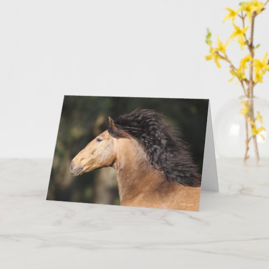 Carte Bob Langrish | Lusitano Capture d'écran Mane Flow (Fleur jaune)