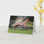 Carte Bob Langrish | Mangalarga Horse Running Rainbow (Fleur jaune)