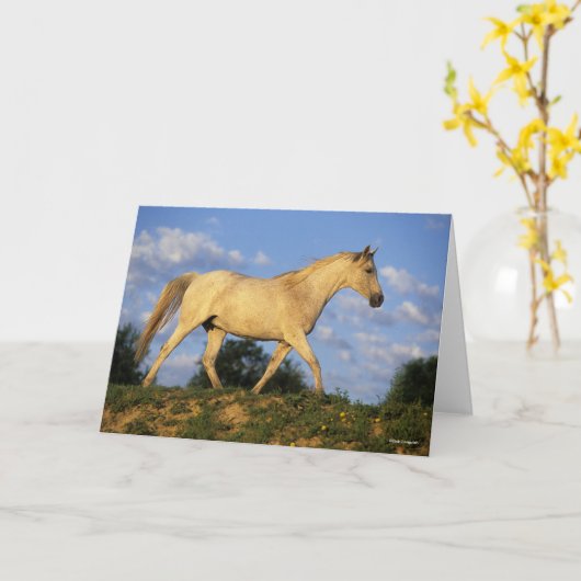 Carte Bob Langrish | Marche arabe grise (Fleur jaune)