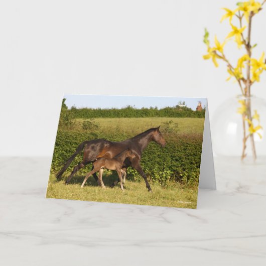 Carte Bob Langrish | Mare de sang chaud et marche du pou (Fleur jaune)