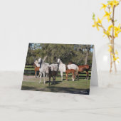 Carte Bob Langrish | Mares et poulains arabes debout (Fleur jaune)