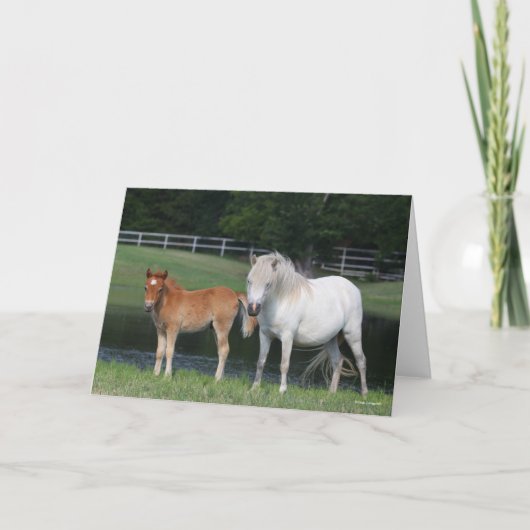 Carte Bob Langrish Miniature Pony Mare and Foal Standing (Devant)