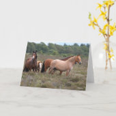 Carte Bob Langrish | Nouveaux poneys forestiers et poula (Fleur jaune)