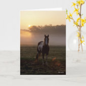 Carte Bob Langrish | Paint Horse Debout Mist Sunrise (Fleur jaune)