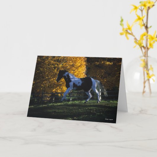 Carte Bob Langrish | Paint Horse Runn Automne (Fleur jaune)