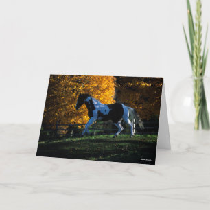 Carte Bob Langrish Paint Horse Runn Automne