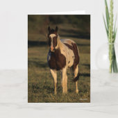 Carte Bob Langrish | Paint Horse Standing (Devant)