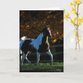 Carte Bob Langrish | Paint Horse Walking Backlight Autom (Fleur jaune)