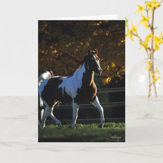 Carte Bob Langrish | Paint Horse Walking Backlight Autom (Fleur jaune)