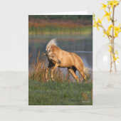 Carte Bob Langrish | Palomino Lusitano Stallion Bucking (Fleur jaune)