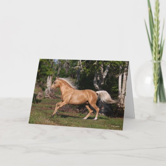 Carte Bob Langrish | Palomino Lusitano Stallion en march (Devant)