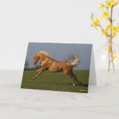 Carte Bob Langrish | Palomino Lusitano Stallion Leaping (Fleur jaune)