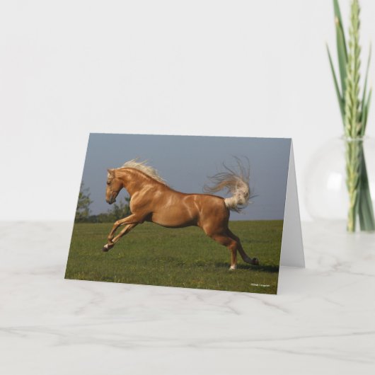 Carte Bob Langrish | Palomino Lusitano Stallion Leaping (Devant)