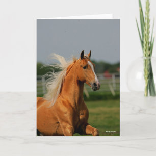 Carte Bob Langrish Palomino Tennesee Walker Headshot