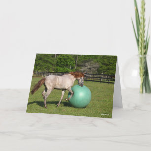 Carte Bob Langrish   Paso Fino Cheval Jouer Avec Ball