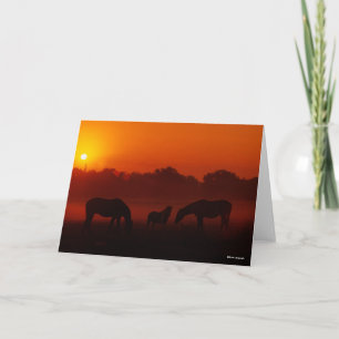 Carte Bob Langrish Pâturage à trois chevaux au coucher