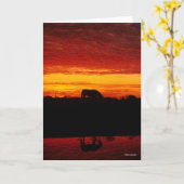 Carte Bob Langrish | Pâturage arabe à cheval au coucher  (Fleur jaune)