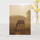 Carte Bob Langrish | Pâturage arabe au coucher du soleil (Fleur jaune)