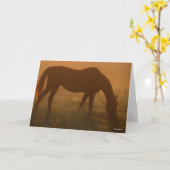 Carte Bob Langrish | Pâturage Arabe Dans La Poêle (Fleur jaune)