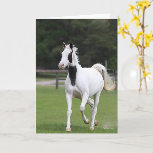 Carte Bob Langrish | Pinto Warmblood (Fleur jaune)