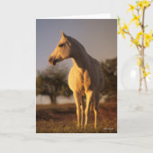 Carte Bob Langrish | Poignée arabe grise (Fleur jaune)