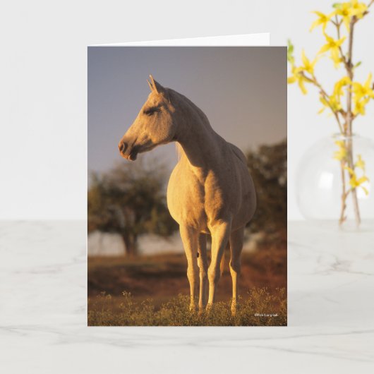 Carte Bob Langrish | Poignée arabe grise (Fleur jaune)