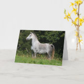 Carte Bob Langrish | Poignée Gris Gallois Poignée (Fleur jaune)