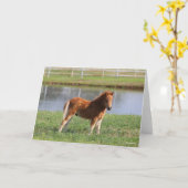 Carte Bob Langrish | Poisson de poney miniature debout (Fleur jaune)