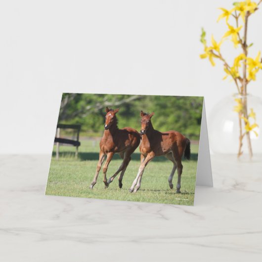 Carte Bob Langrish | Quart de chevaux Foals Together (Fleur jaune)