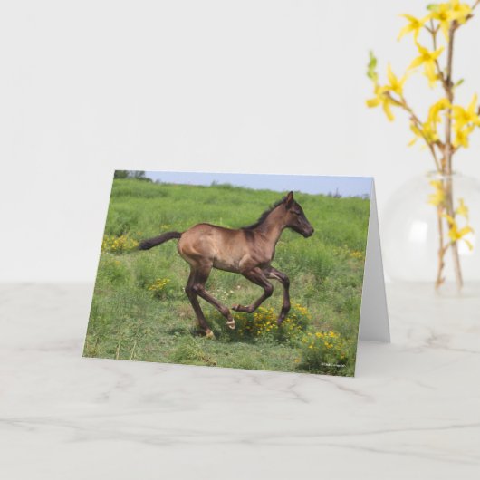 Carte Bob Langrish | Quart Horse Foal Running (Fleur jaune)