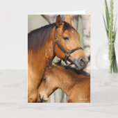 Carte Bob Langrish Quarter Cheval Mare et poulain (Devant)